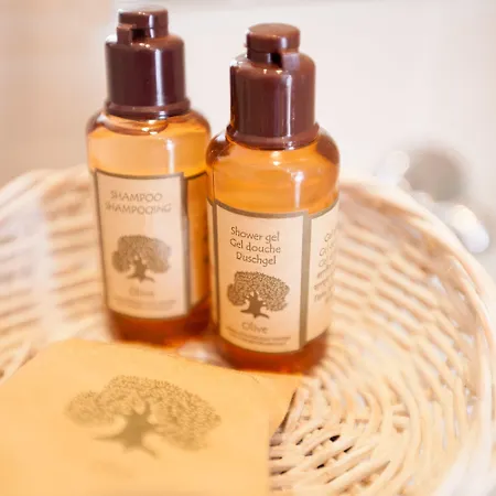 Eiffel Garibaldi Hotel Paris